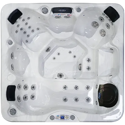 Avalon EC-849L hot tubs for sale in Lees Summit