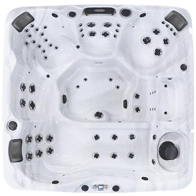 Avalon EC-867L hot tubs for sale in Lees Summit